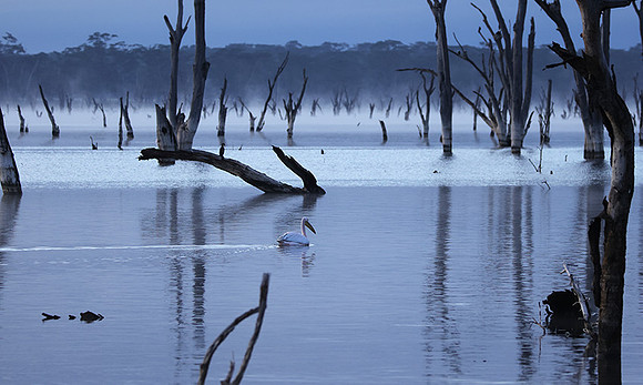 Lake Nakuru