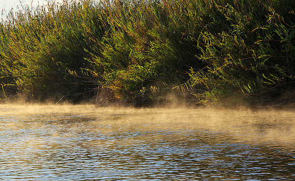 Delta of Okavango