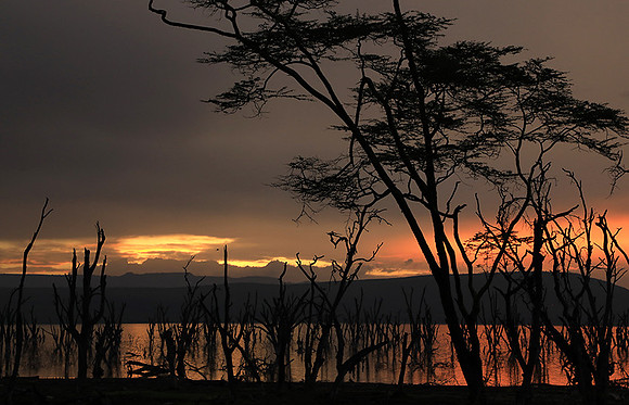 Lake Nakuru - sunrise