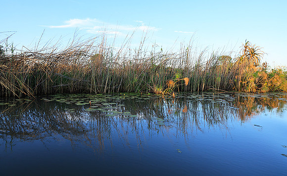 Delta of Okavango