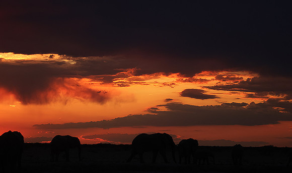 Sunset - Nxai Pan