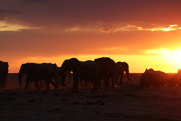 Sunset - Nxai Pan