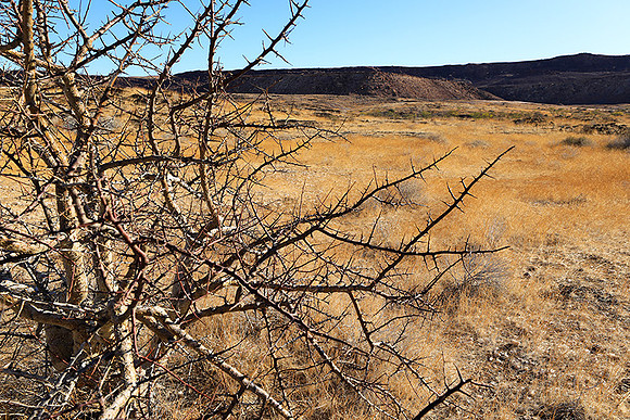 Damaraland