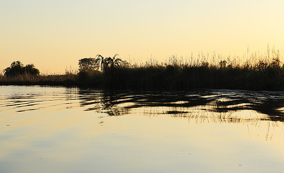 Delta of Okavango