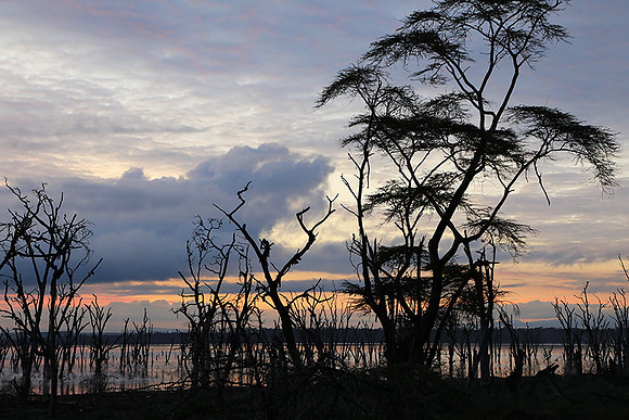 Lake Nakuru - sunrise