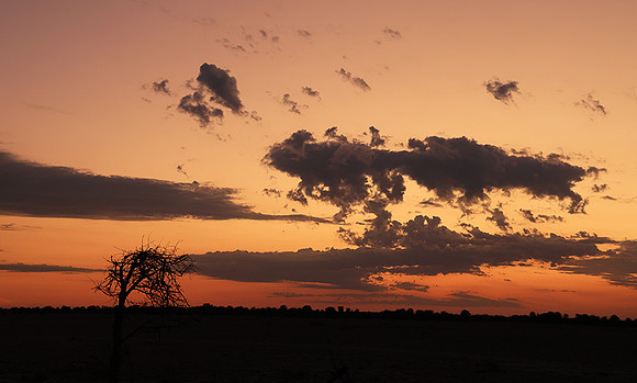 Sunrise - Nxai Pan