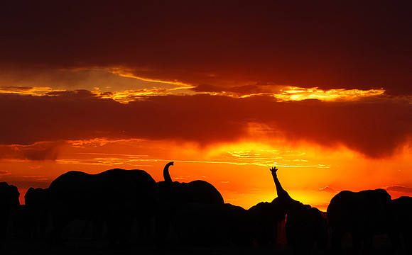 Sunset - Nxai Pan