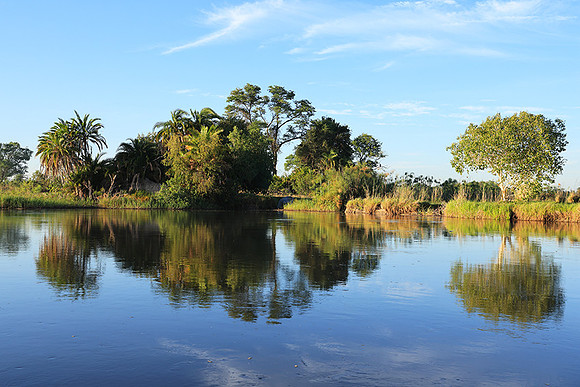 Delta of Okavango