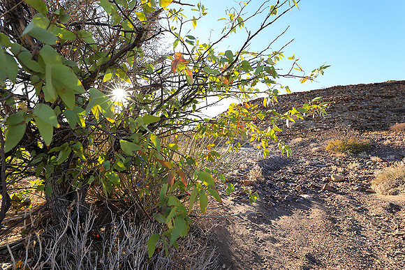 Damaraland