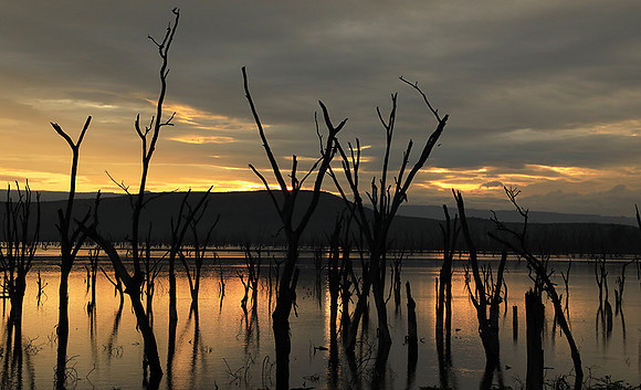Lake Nakuru - sunrise