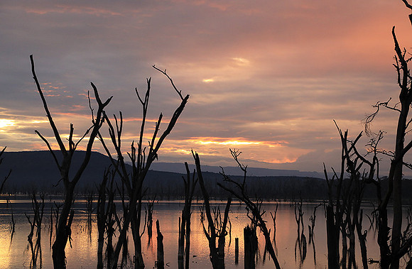 Lake Nakuru - sunrise