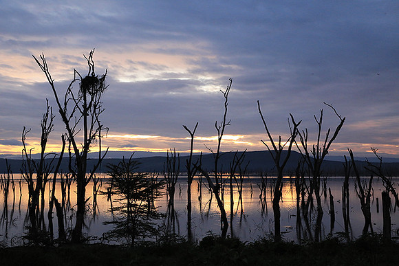 Lake Nakuru - sunrise