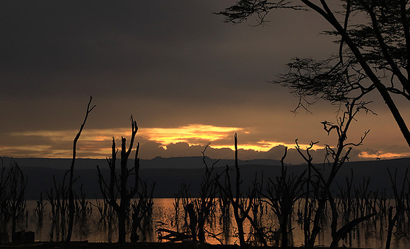 Lake Nakuru - sunrise