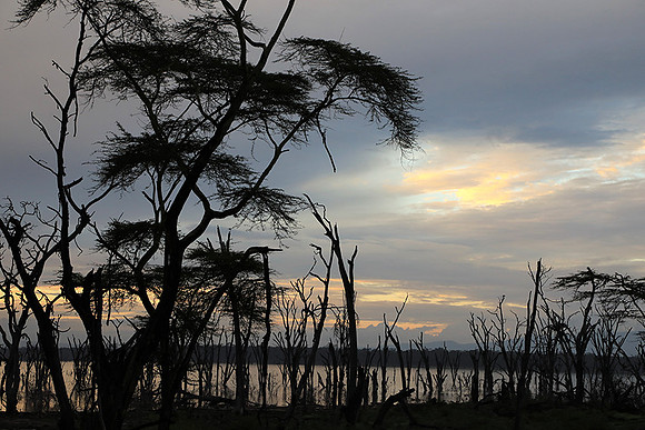 Lake Nakuru - sunrise