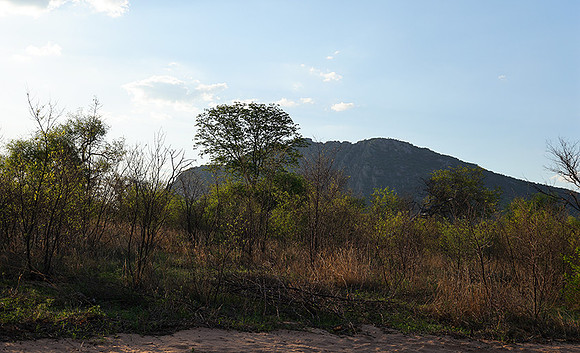 Delta of Okavango
