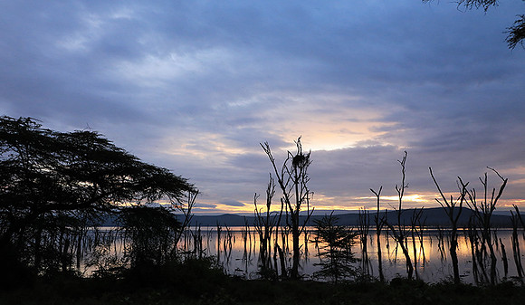 Lake Nakuru - sunrise