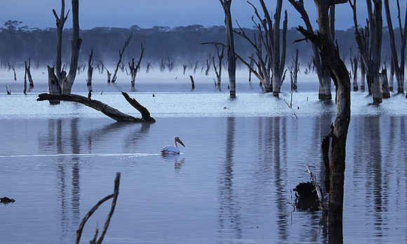 Lake Nakuru