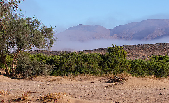 Damaraland
