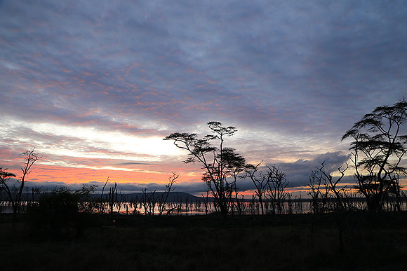 Lake Nakuru - sunrise