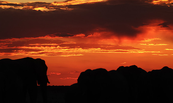 Sunset - Nxai Pan