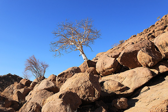 Damaraland