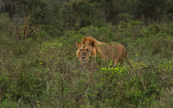 Nakuru