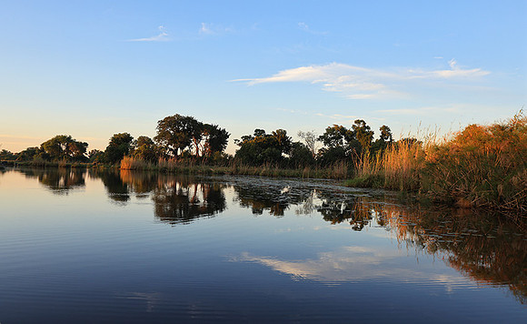 Delta of Okavango