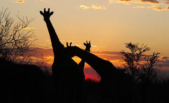 Sunset - Tau Pan