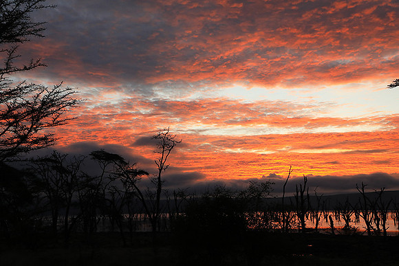 Lake Nakuru - sunrise