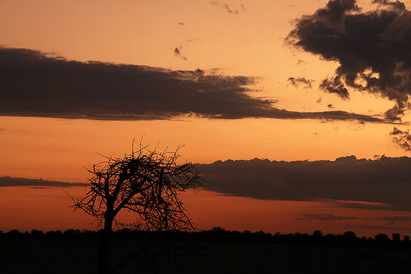 Sunrise - Nxai Pan
