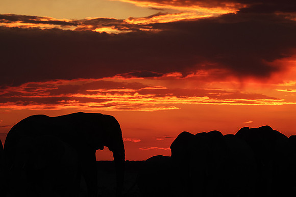Sunset - Nxai Pan
