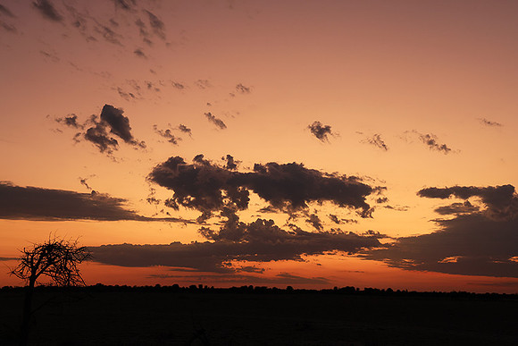 Sunrise - Nxai Pan