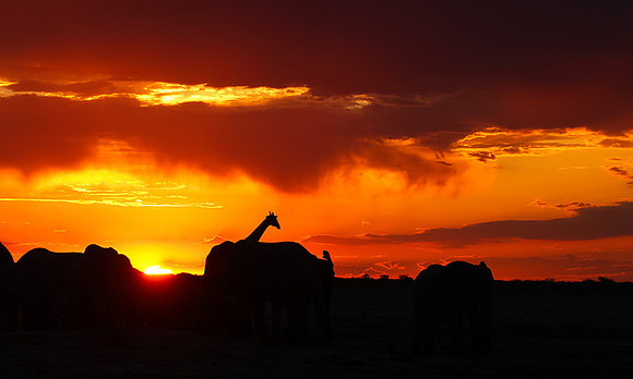 Sunset - Nxai Pan