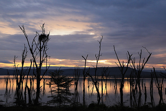 Lake Nakuru - sunrise