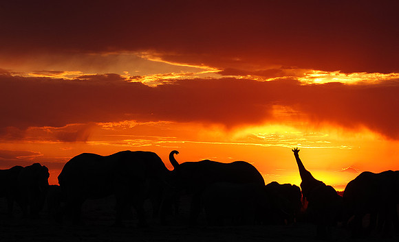 Sunset - Nxai Pan