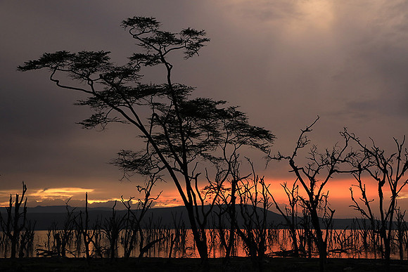 Lake Nakuru - sunrise