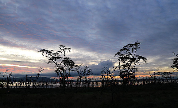 Lake Nakuru - sunrise