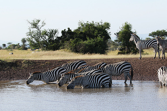 Serengeti - Grumeti Private Reserve