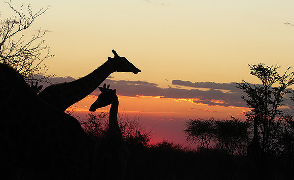 Sunset - Tau Pan