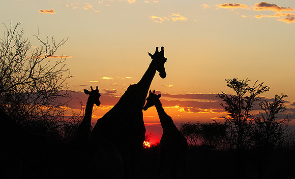 Sunset - Tau Pan