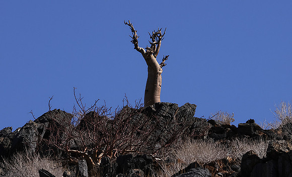 Damaraland