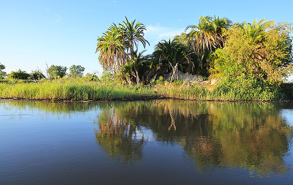 Delta of Okavango