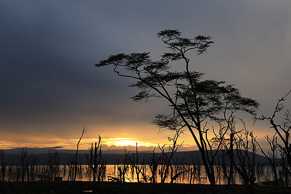 Lake Nakuru - sunrise