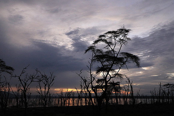 Lake Nakuru - sunrise