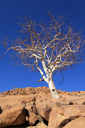 Damaraland