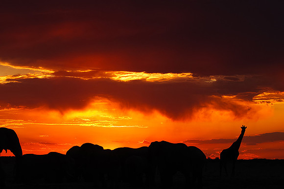 Sunset - Nxai Pan