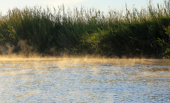 Delta of Okavango