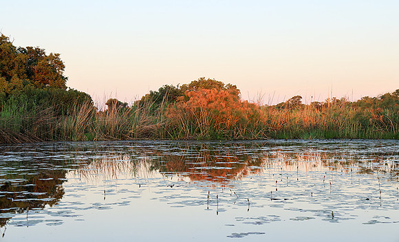 Delta of Okavango