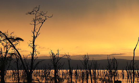 Lake Nakuru - sunrise