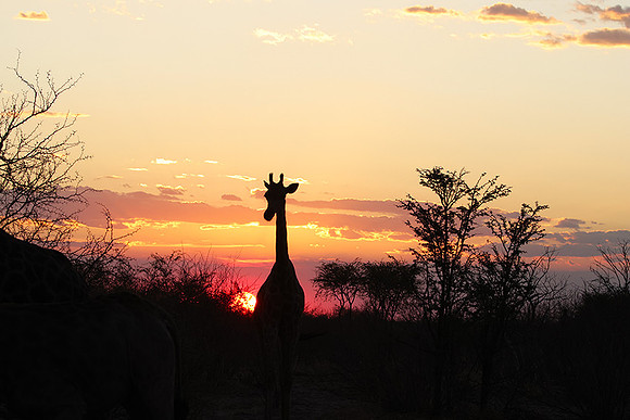 Sunset - Tau Pan